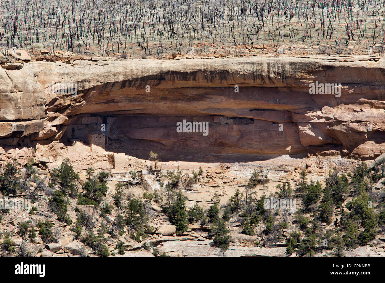 Il Parco Nazionale di Mesa Verde, Colorado, Hemenway House Viewpoint, rovine Foto Stock