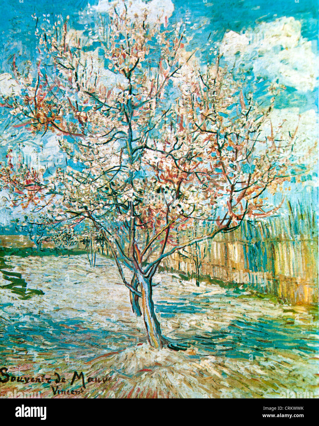 Gli alberi di pesco in fiore - Van Gogh Foto stock - Alamy