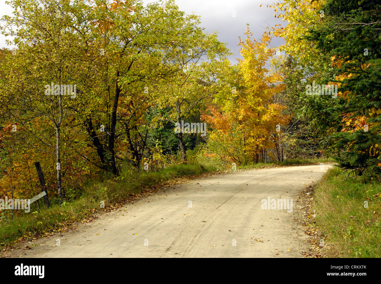Strada rurale nel New England in autunno, STATI UNITI D'AMERICA Foto Stock