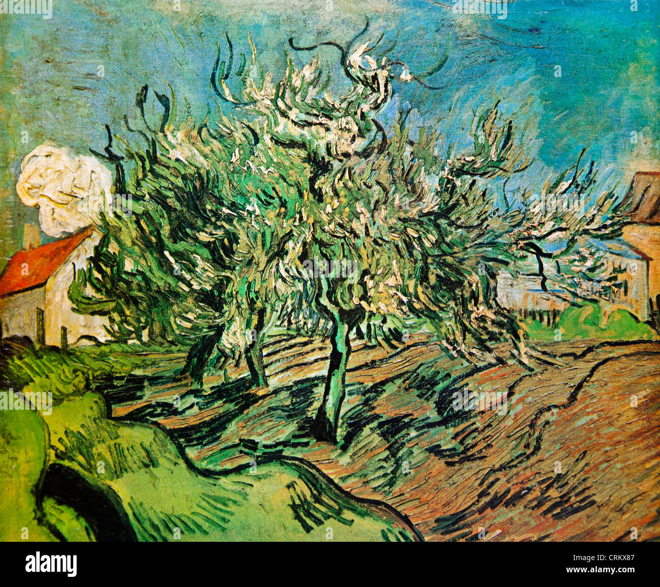 Tre alberi e una casa - Van Gogh Foto Stock