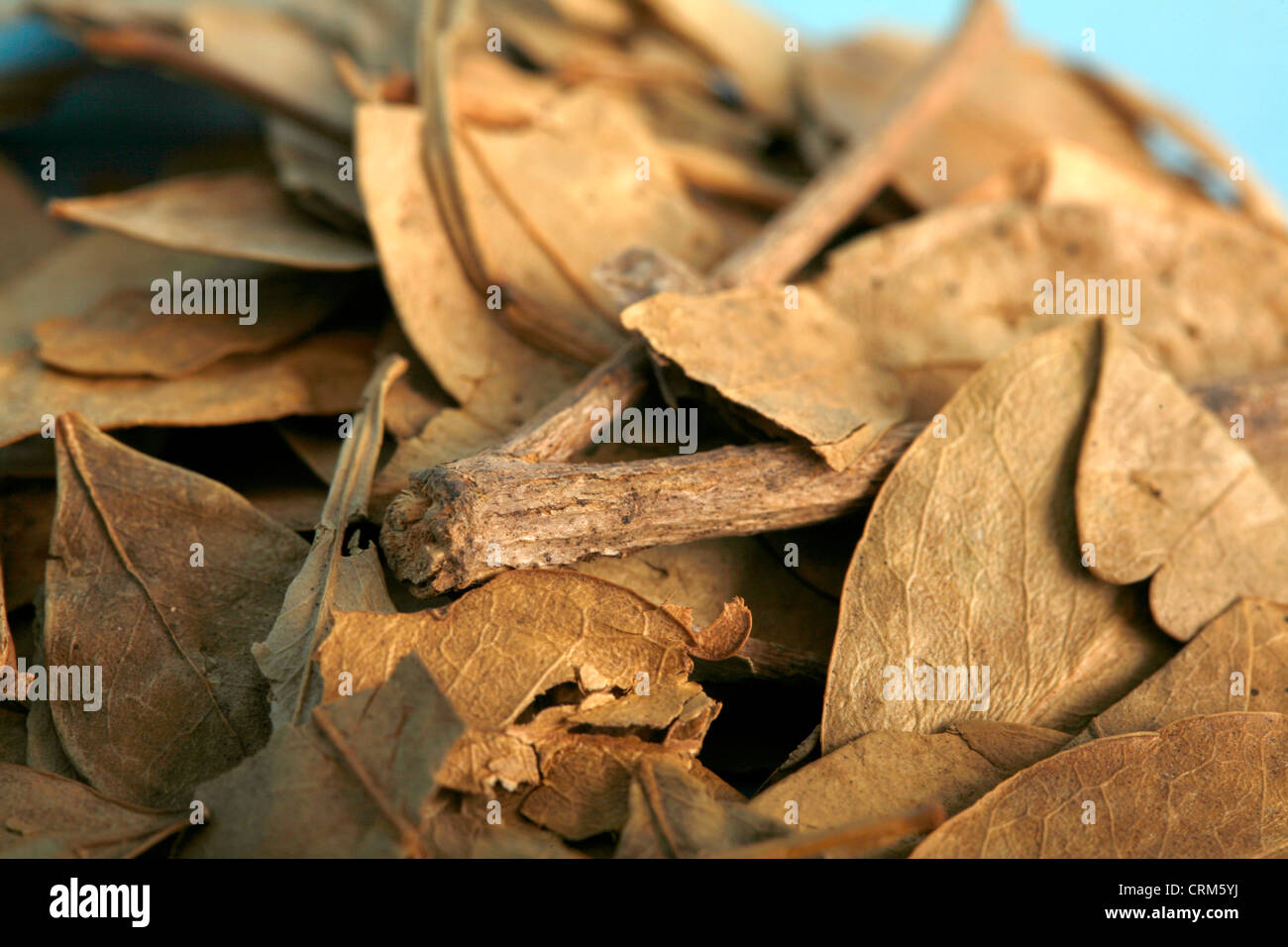 Medicina alternativa Foto Stock