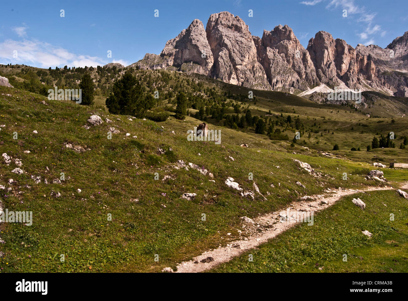 Puez-Odle massiccio in Dolomiti vicino sopra la Val Gardena valley con prato, Hiking trail, picchi e cielo chiaro Foto Stock