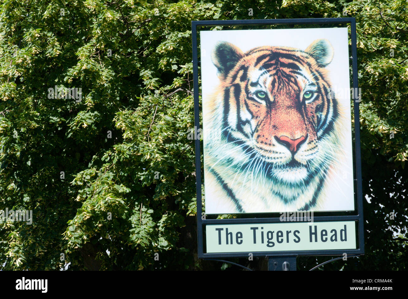 Il pub segno del tigri testa public house a Chislehurst, Kent. Foto Stock