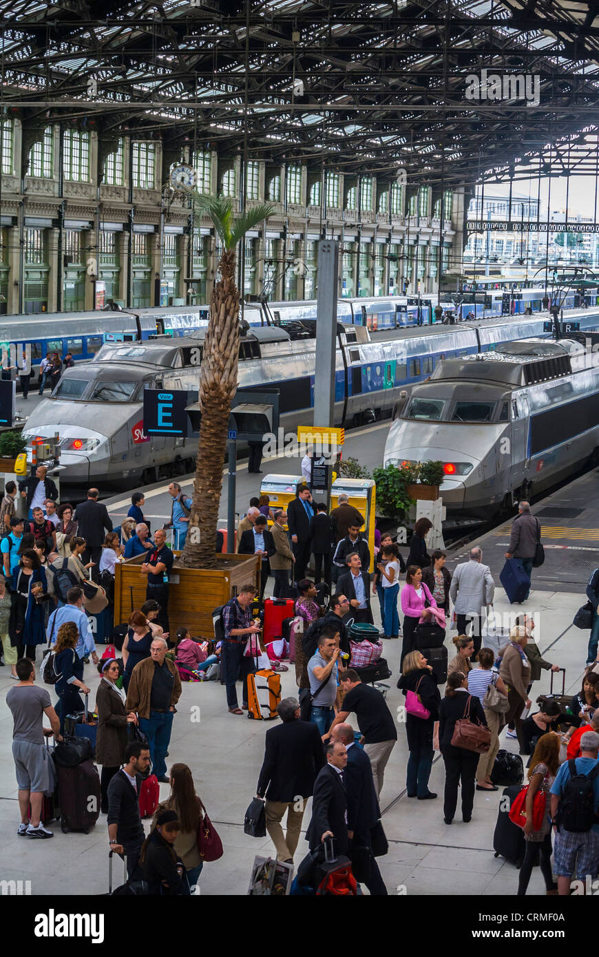 Parigi, Francia, High Angle View, folla turisti che viaggiano sulla stazione ferroviaria storica Quay, T.G.V. Treno bullet, 'Gare de Lyon', SNCF Foto Stock