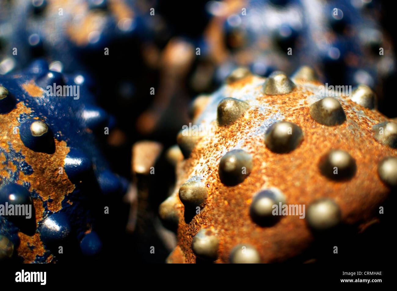 Primo piano di una pesante dovere della testa a forare Foto Stock