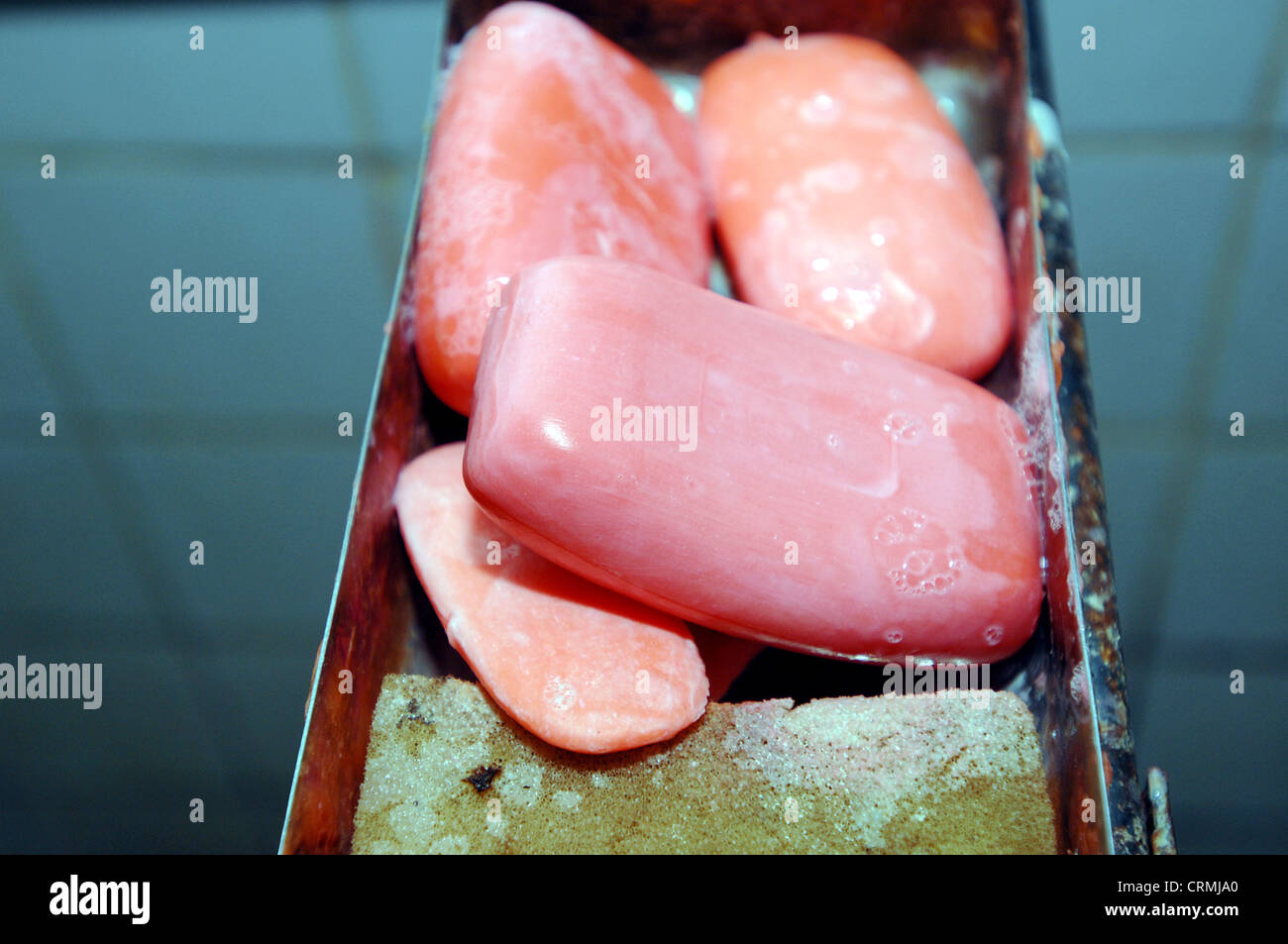 Close up di saponette in un vassoio, utilizzato lo staff del teatro prima e dopo la chirurgia Foto Stock