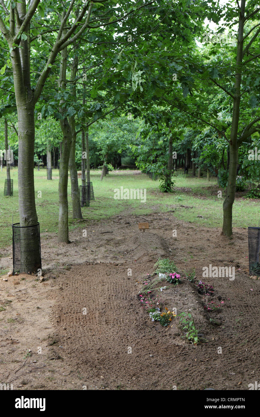 Greenwood forest luogo di sepoltura cimitero alternativa verde funebri ecologici memorial, Suffolk, Inghilterra, Regno Unito Foto Stock