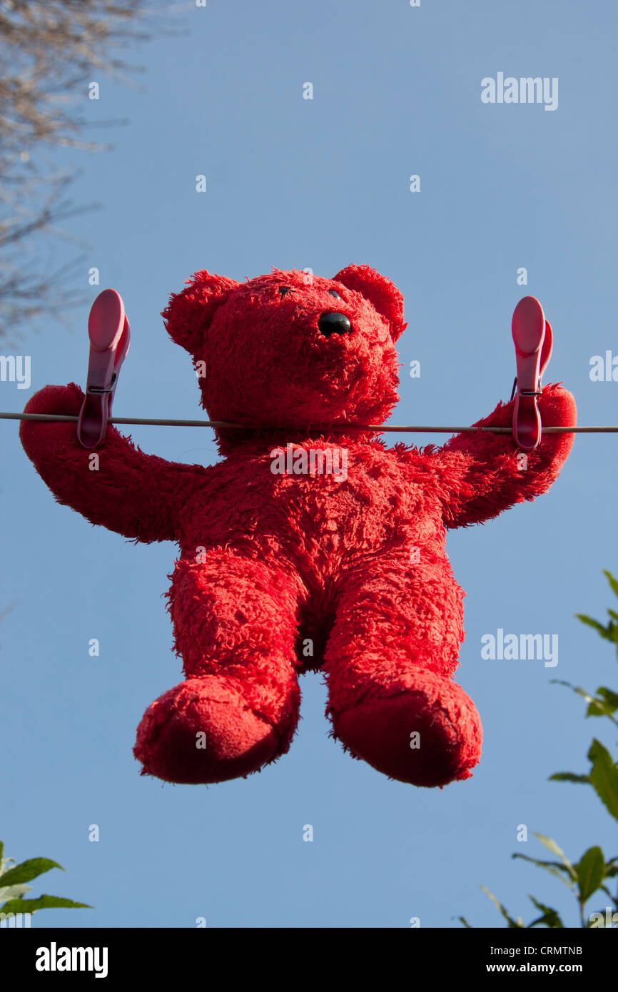 Red orsacchiotto appendere fuori ad asciugare su linea di lavaggio con cielo blu sullo sfondo Foto Stock