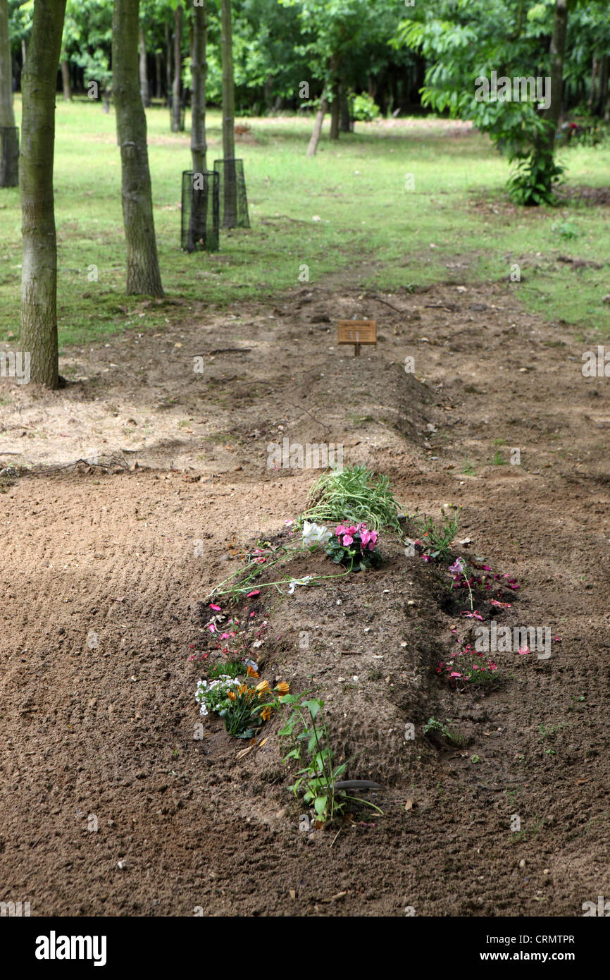 Greenwood forest luogo di sepoltura cimitero alternativa verde funebri ecologici memorial, Suffolk, Inghilterra, Regno Unito Foto Stock