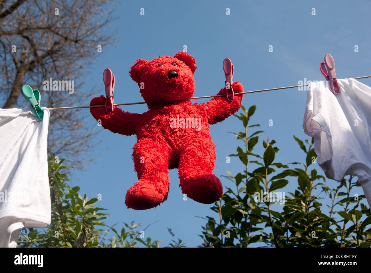 Red orsacchiotto appendere fuori ad asciugare su linea di lavaggio con cielo blu sullo sfondo Foto Stock
