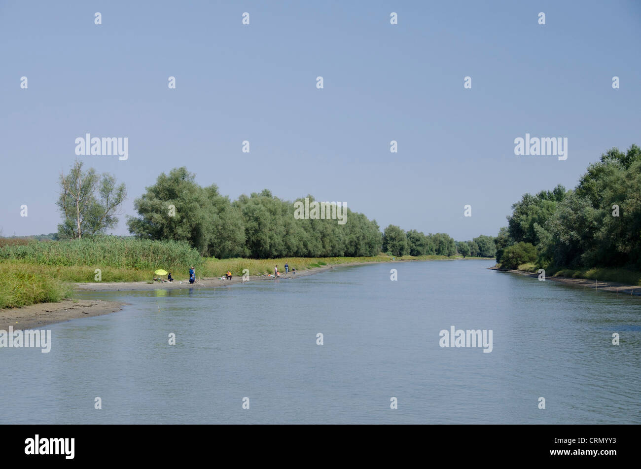 La Romania, regione Dobrudgea, Tulcea, il Delta del Danubio. Sfantu Gheorghe canale d'argento con gli alberi di salice. Riserva della Biosfera dall'UNESCO. Foto Stock