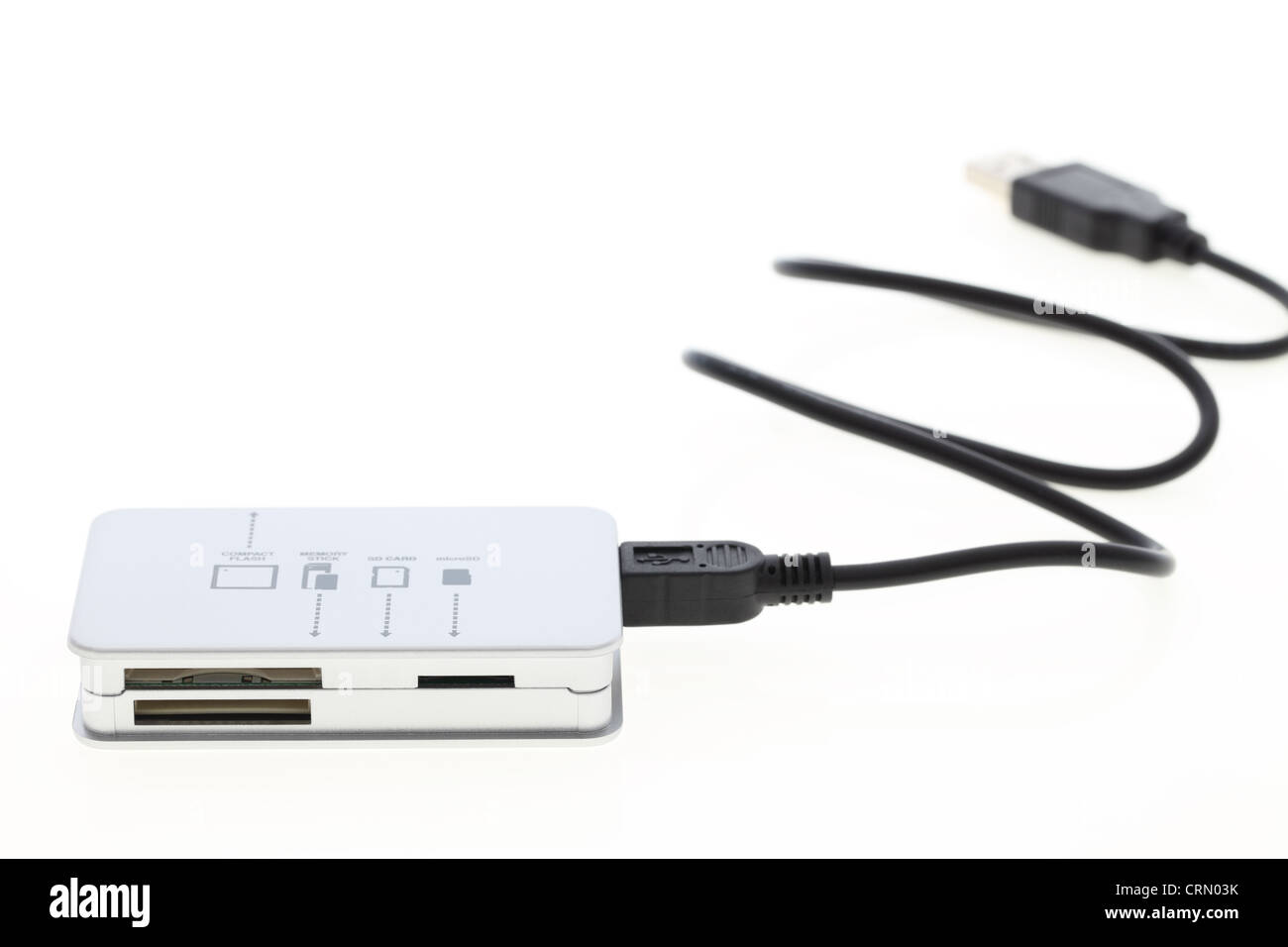 Lettore di schede di memoria Foto Stock