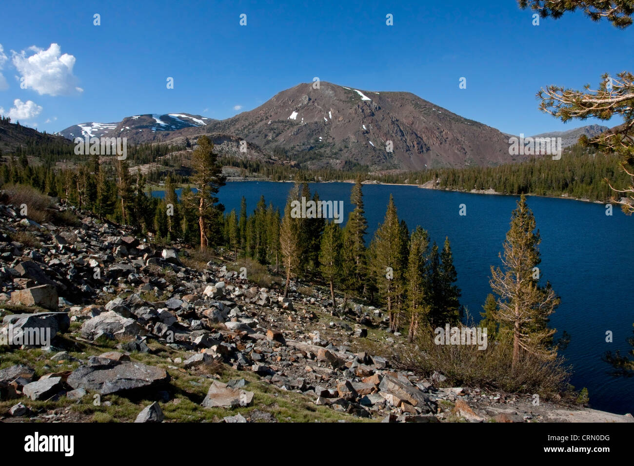 Vista panoramica del lago Tioga, Mono, Sierra orientale, California, Stati Uniti d'America in luglio con picco Tioga in background Foto Stock