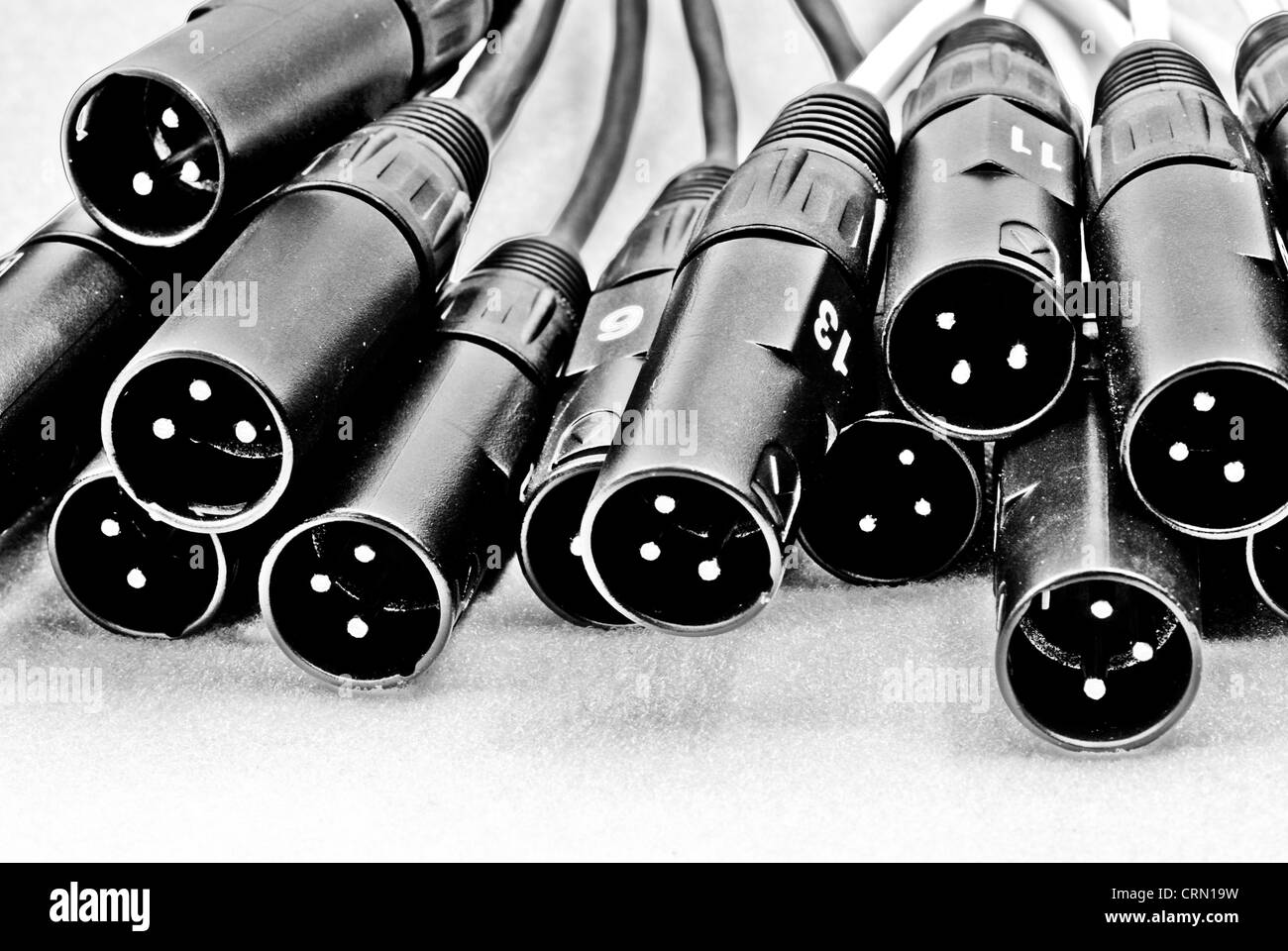 Cavo audio professionale per il trasferimento di qualità. Foto Stock