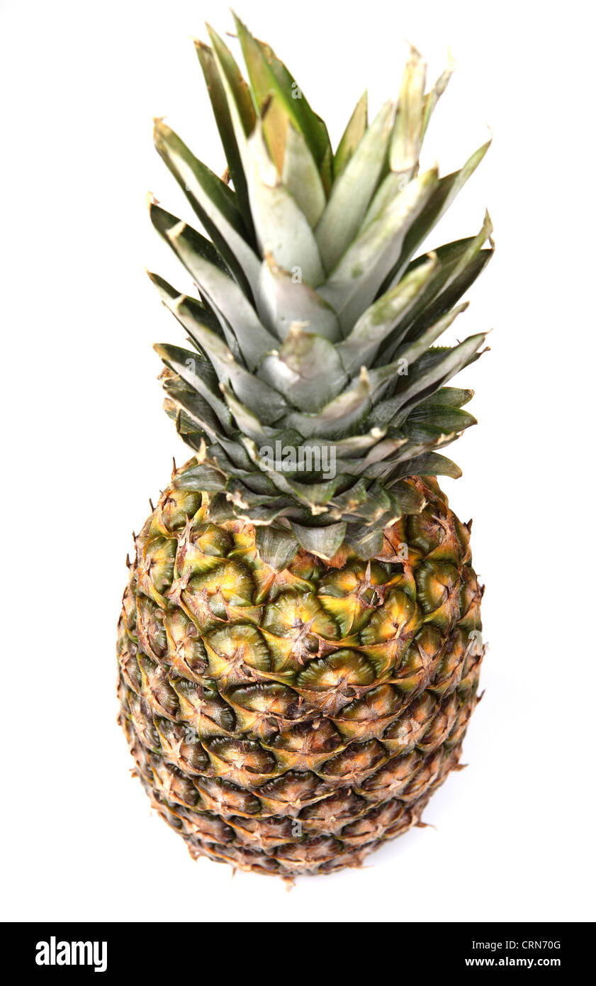 Ananas fresco frutta isolato su sfondo bianco Foto Stock