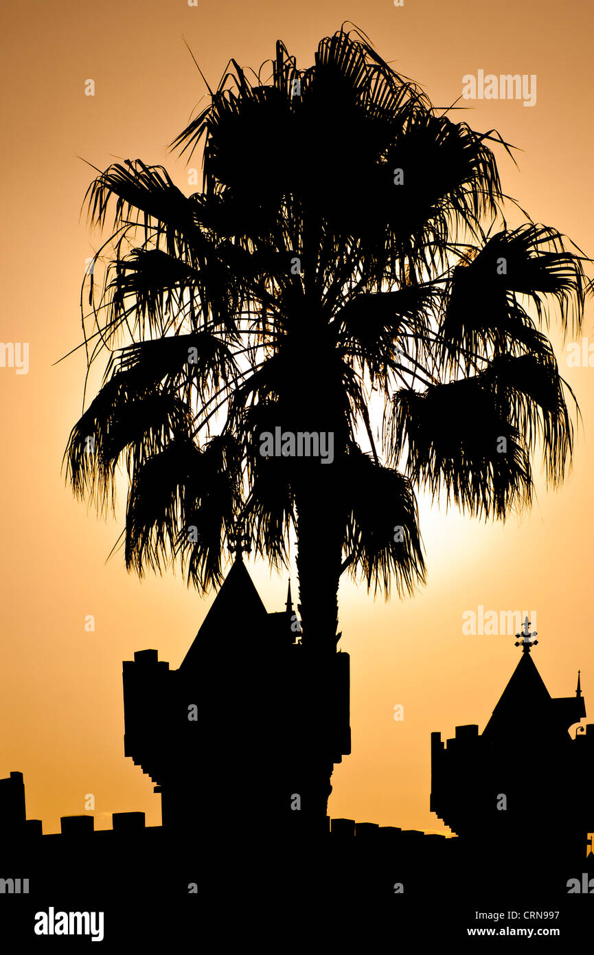 LAS VEGAS, Stati Uniti d'America - 16 GIUGNO 2012: La silhouette di Palm Tree accanto all'Excalibur Hotel Foto Stock