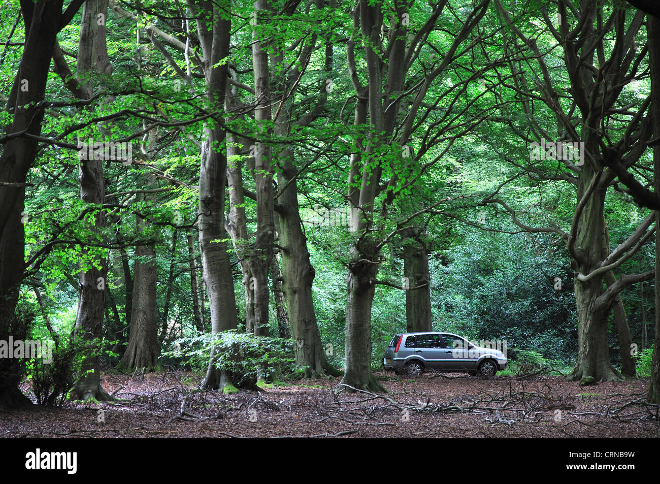 Una sola auto in legno Catslip vicino a Nettlebed, Oxfordshire, Regno Unito Agosto 2011 Foto Stock