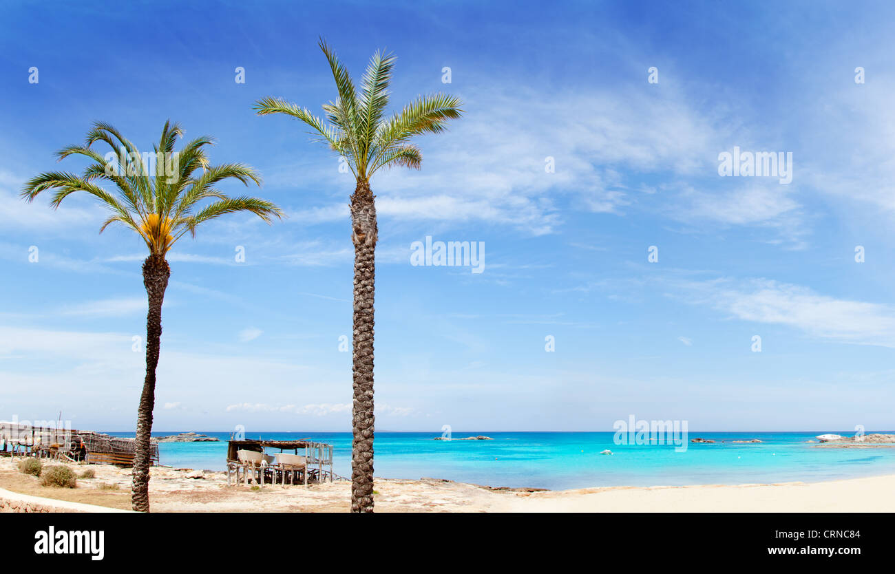 Els pujols Formentera spiaggia con acque turchesi e le palme in isole baleari Foto Stock
