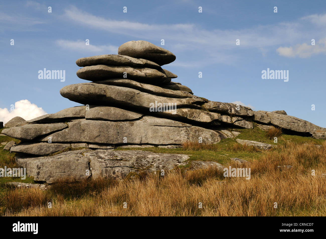 Tori di granito sulla collina Stowes tirapiedi Bodmin Moor Cornwall Inghilterra UK GB Foto Stock