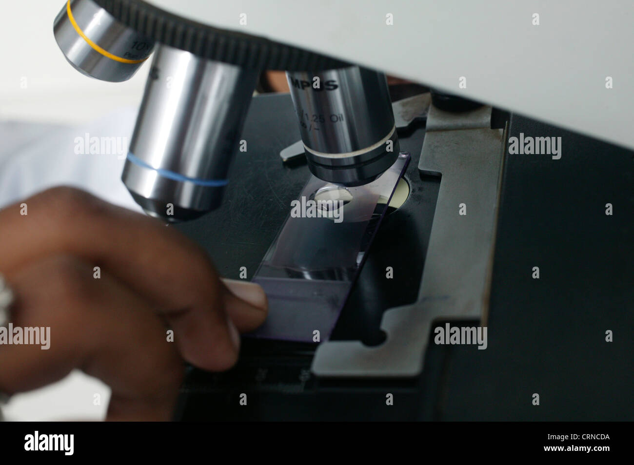 Un tecnico di laboratorio si allinea una diapositiva nel titolare su un microscopio. Foto Stock