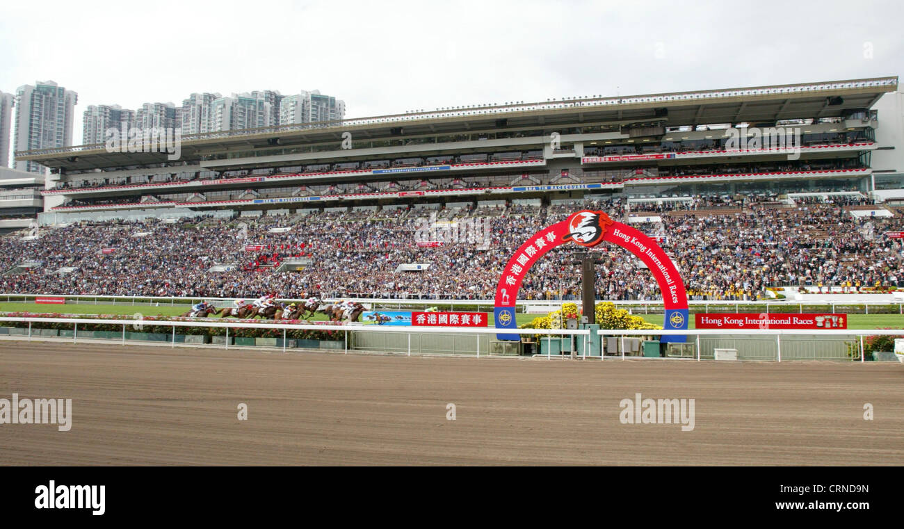 Il cavallo contro lo sfondo della Sha Tin Racecourse in Hong Kong Foto Stock