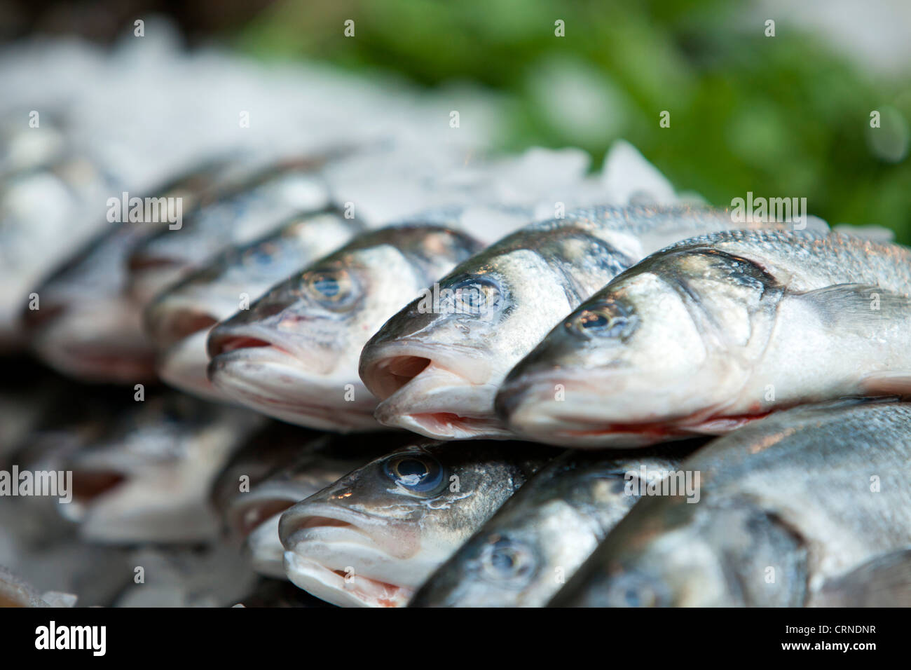Pesce fresco in vendita nel mercato di Borough. Foto Stock