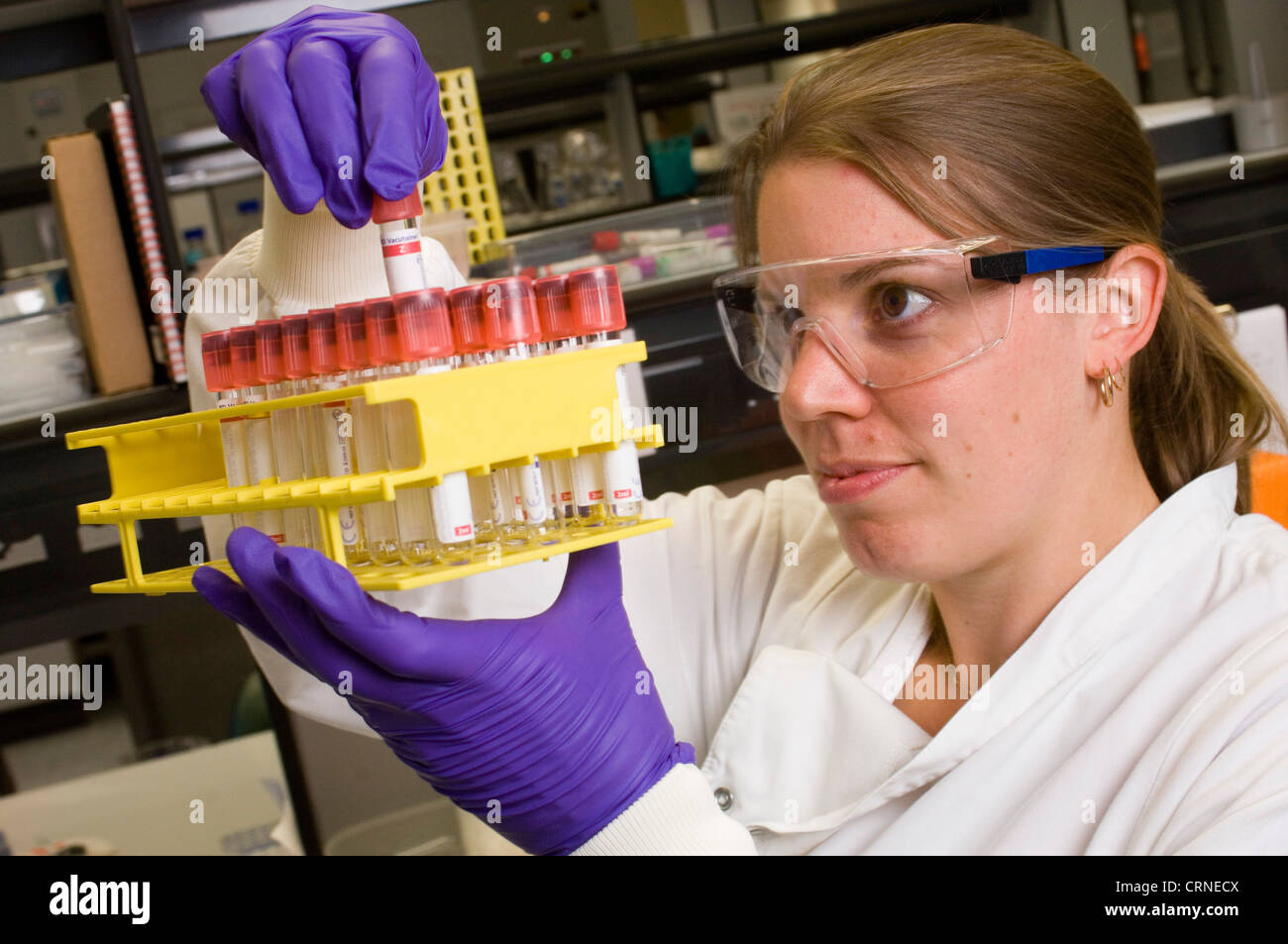 Uno scienziato controlla un vassoio di campioni in un laboratorio Foto Stock