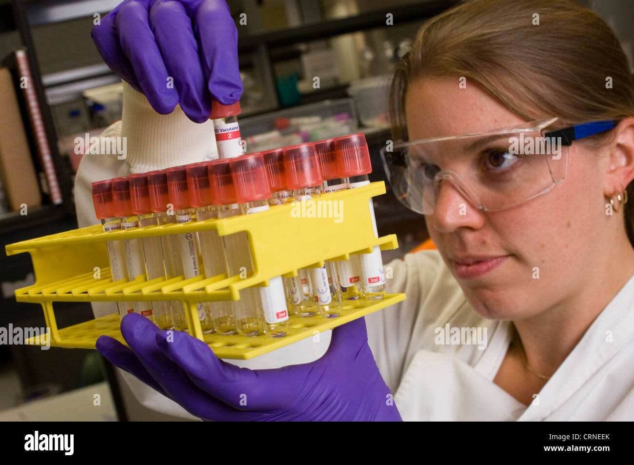 Uno scienziato controlla un vassoio di campioni in un laboratorio Foto Stock