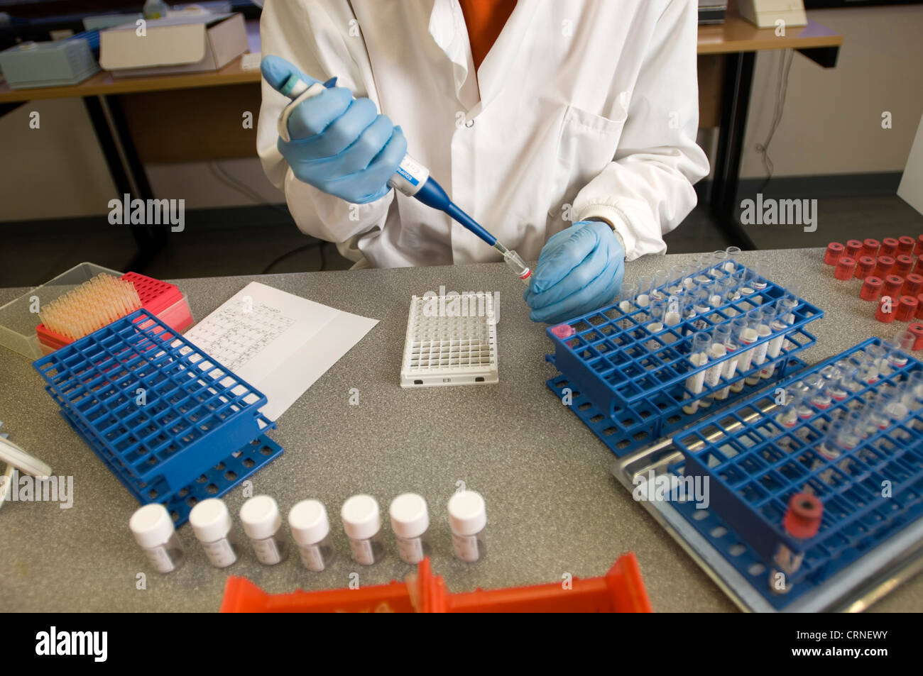 Uno scienziato prende un campione di saliva da un flaconcino di essere collocati in una piastra di prova, pronto per surrenale profilo di stress test. Foto Stock