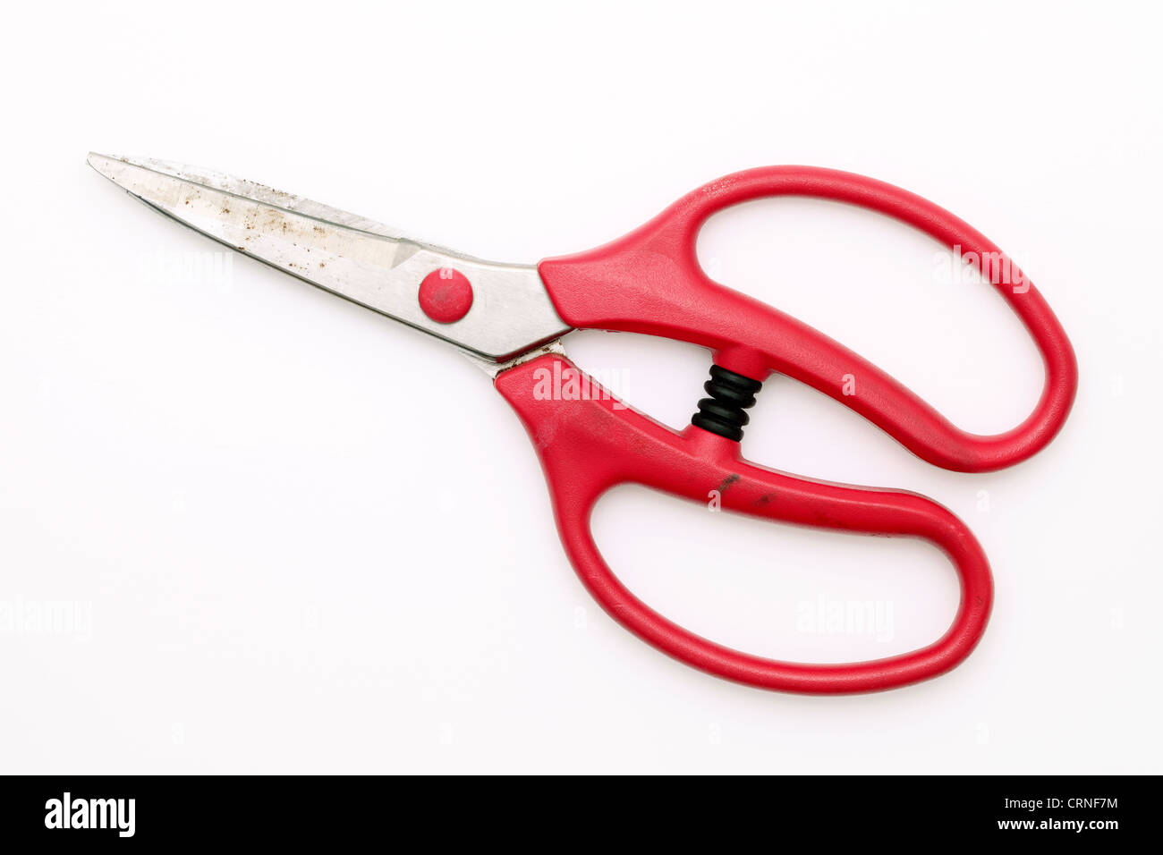 Rusty forbici per fiori Foto Stock