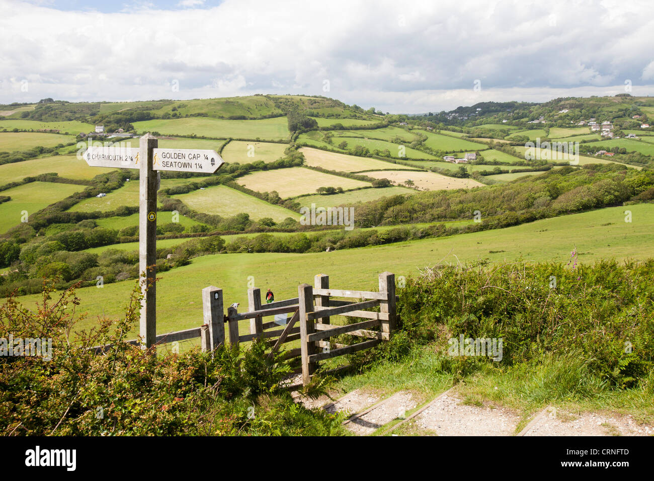 Un tratto di costa del sud-ovest il percorso nei pressi di Charmouth nel Dorset, Regno Unito, con tipici Dorset campagna di laminazione. Foto Stock