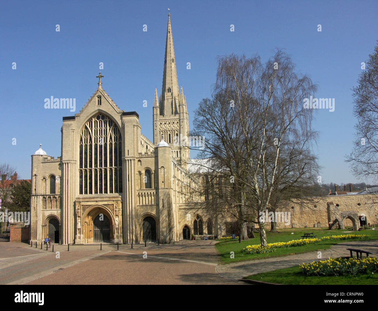 La magnifica cattedrale di Norwich vanta la seconda guglia più alta in Inghilterra. Foto Stock