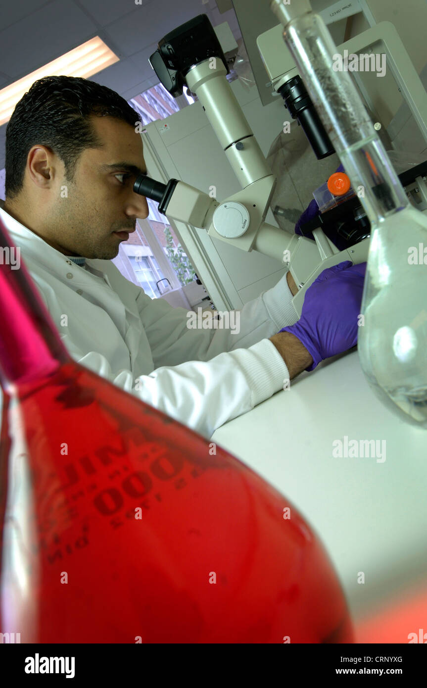 Un tecnico di laboratorio utilizzando un photomicroscope che è una combinazione di microscopio e telecamera digitale per la formazione di immagini di campioni durante l'esame Foto Stock