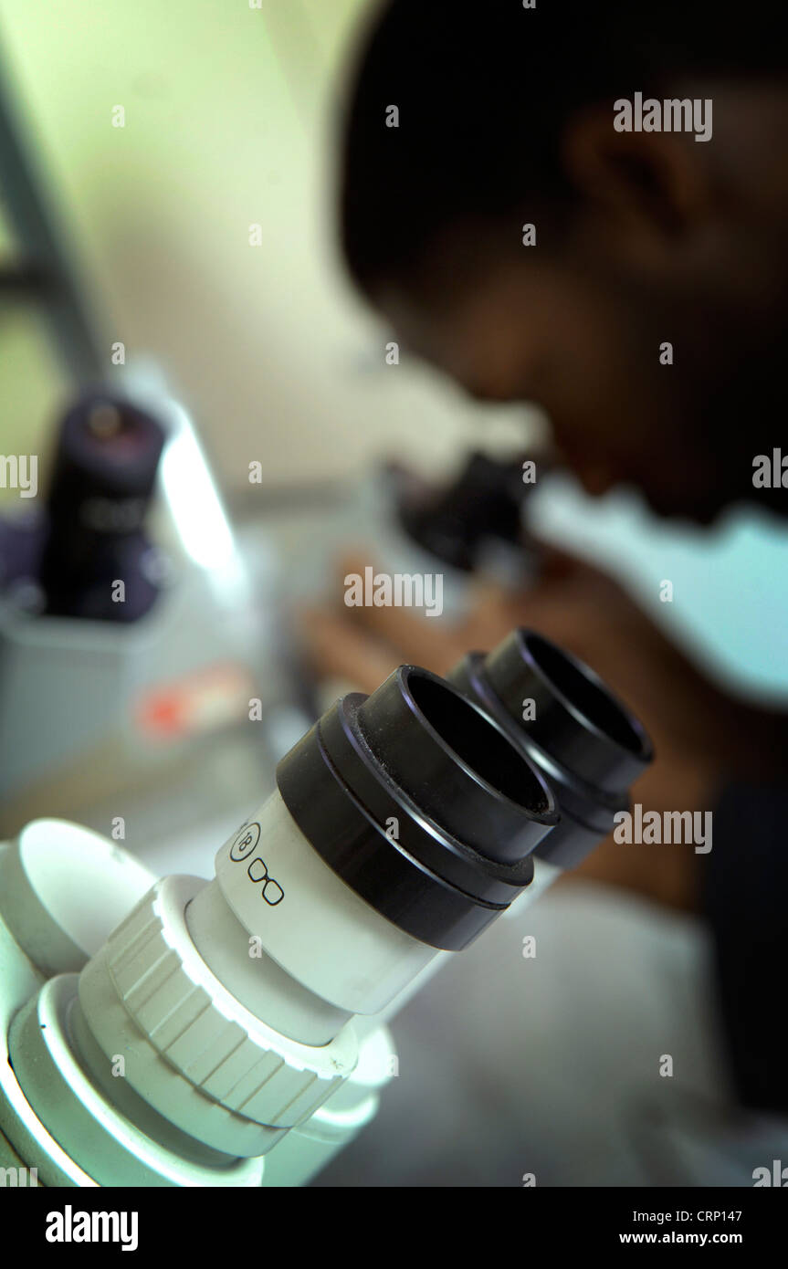 Un giovane africano studente di medicina utilizzando un microscopio per esaminare il suo esperimento risultati. Foto Stock