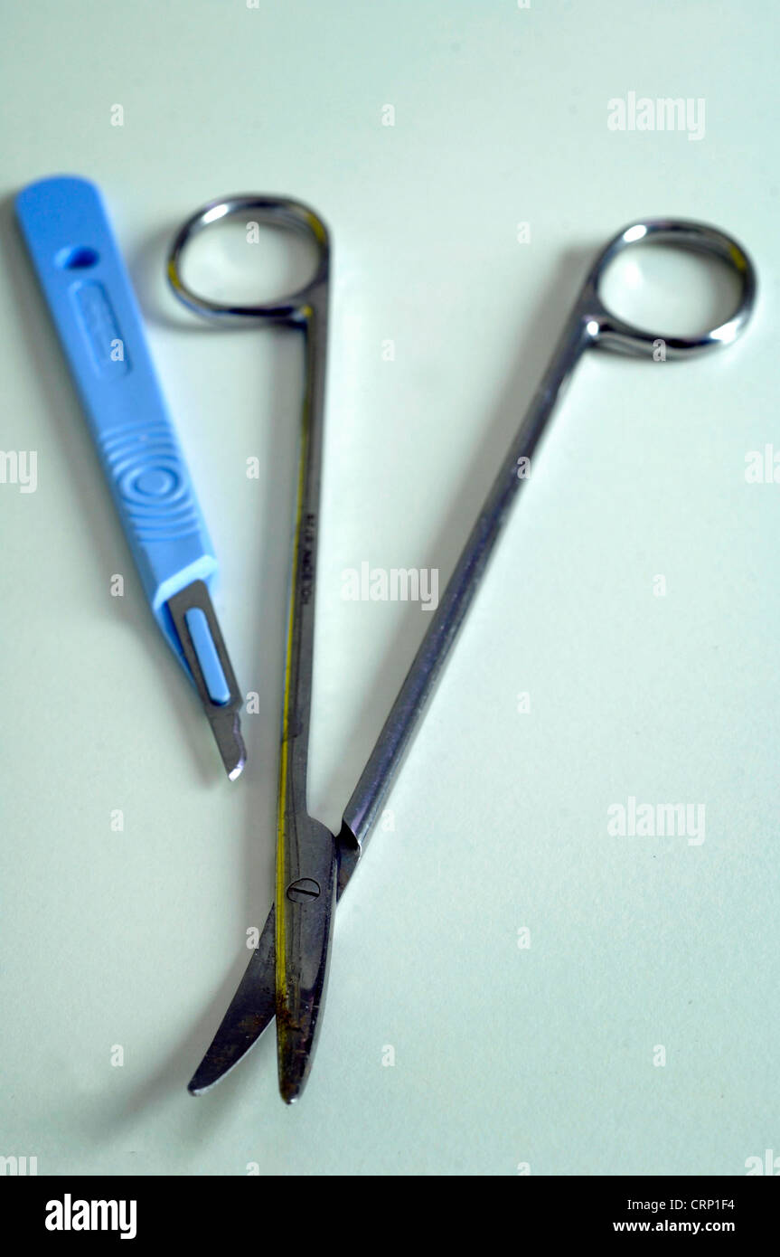 Due fondamentali strumenti di laboratorio: una coppia di lunghi gestite da dissezione forbici e una blu vengono gestiti bisturi con una lama retrattile. Foto Stock
