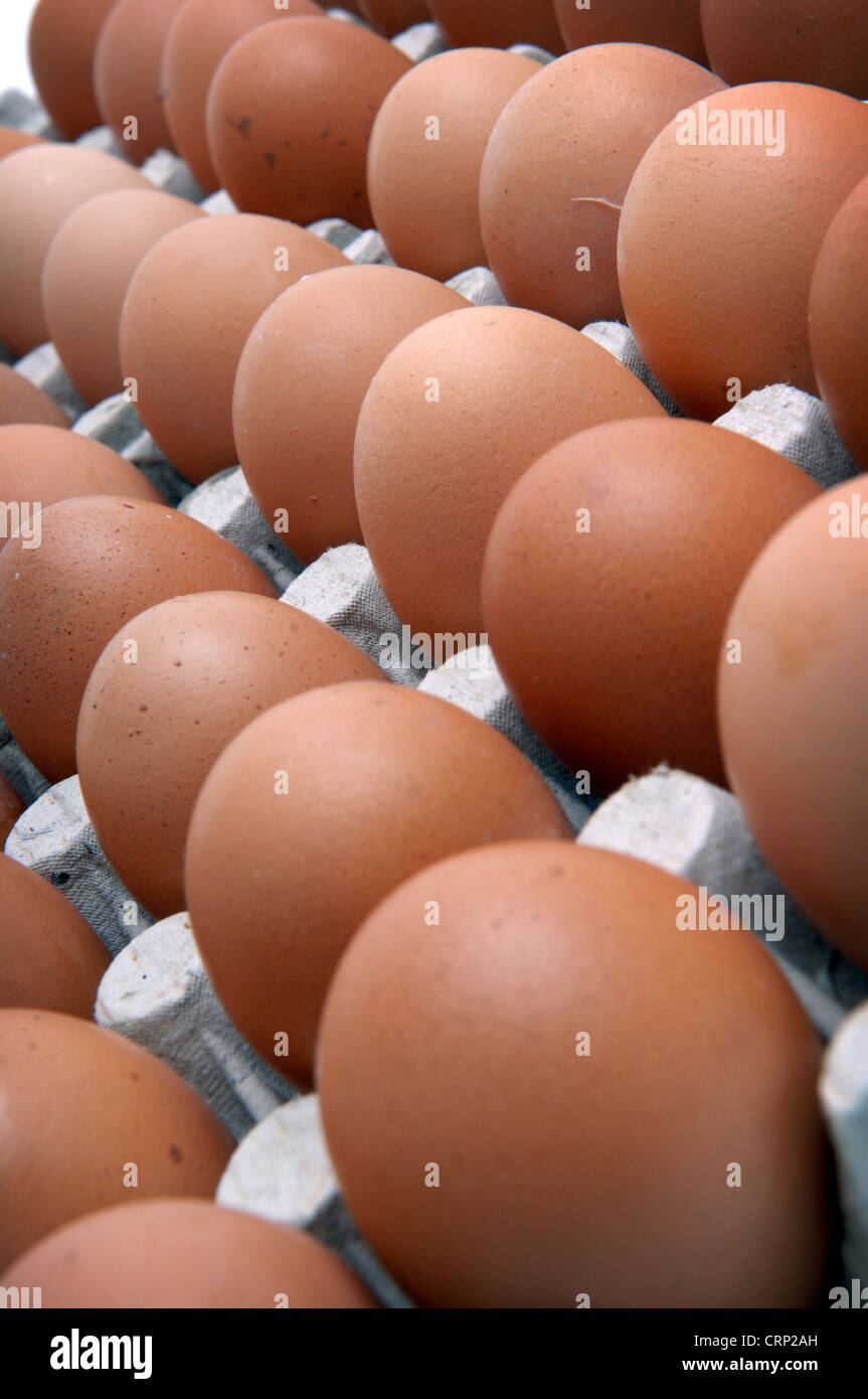 Uova Foto Stock