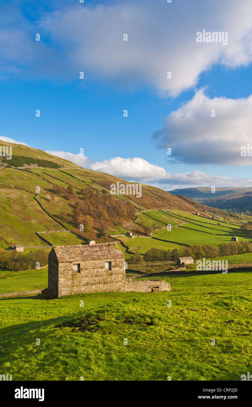 Yorkshire Dales National Park Swaledale Yorkshire Traditional Stone Barns in Upper Swaledale vicino a Keld Yorkshire Dales North Yorkshire Inghilterra Regno Unito Foto Stock