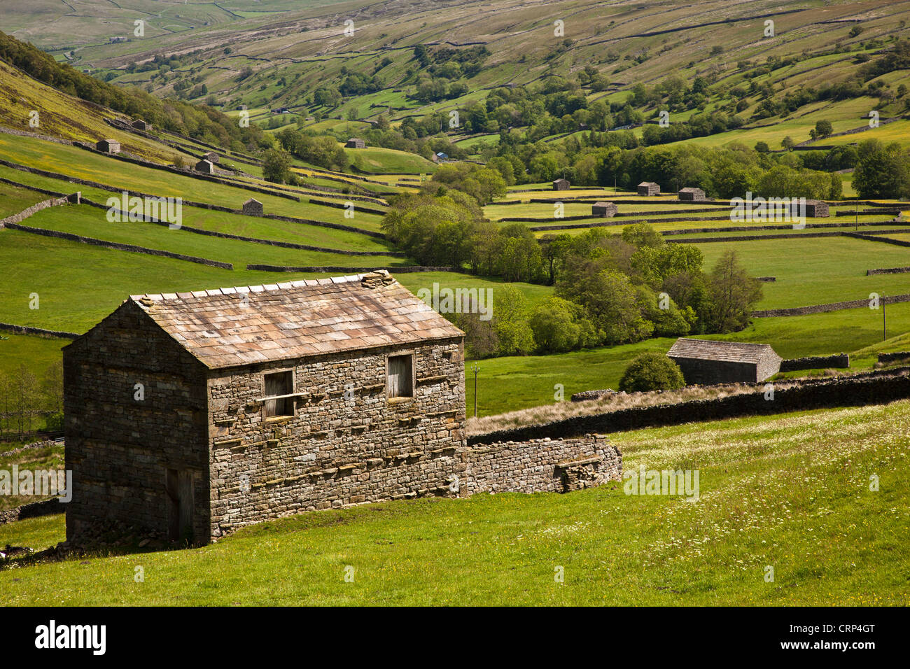 Granai in pietra vicino Thwaite in Swaledale superiore nel Yorkshire Dales National Park. Foto Stock