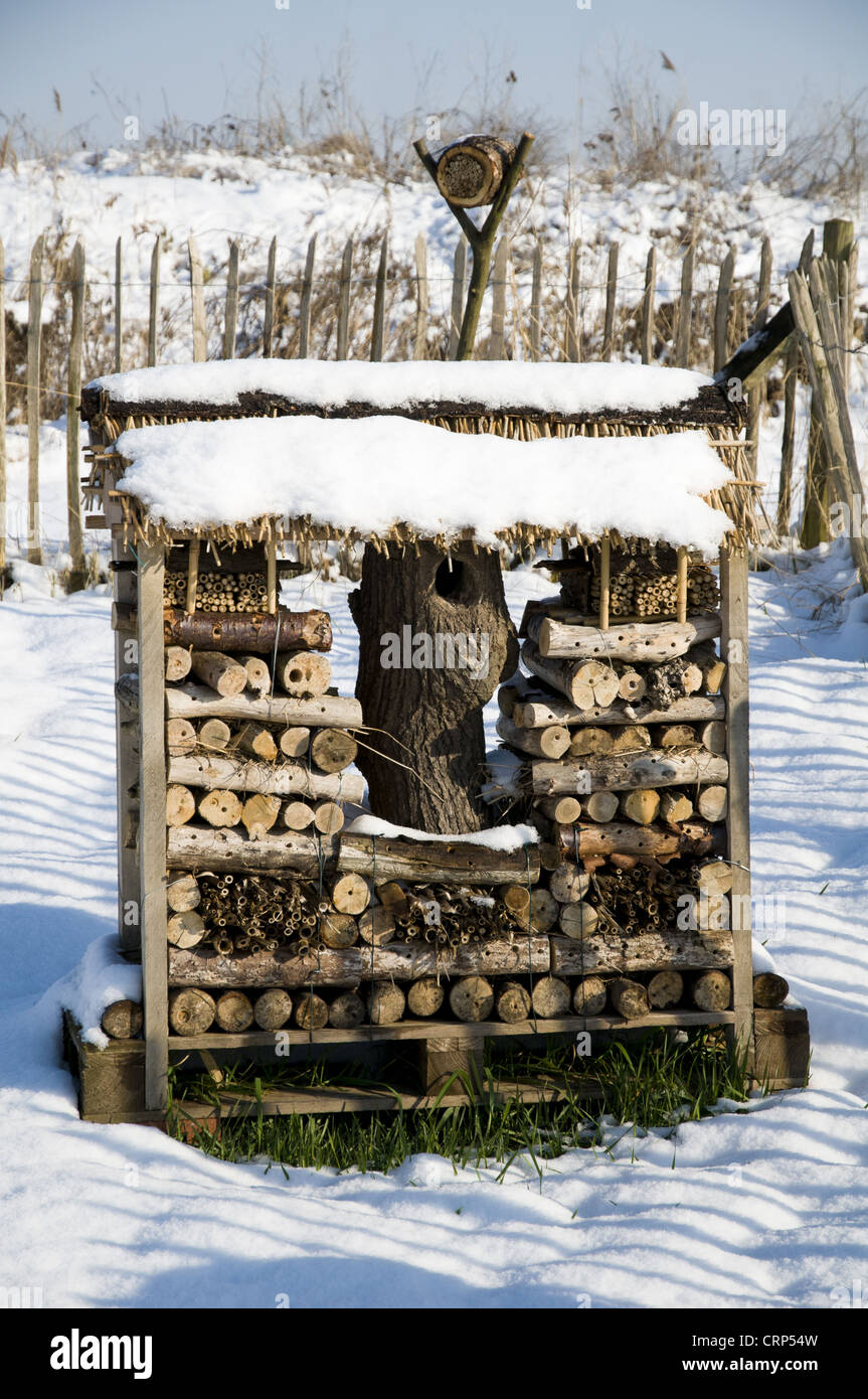 "Bug hotel' ricoperta di neve Crossness Riserva Naturale, Bexley, Kent, Inghilterra, febbraio Foto Stock