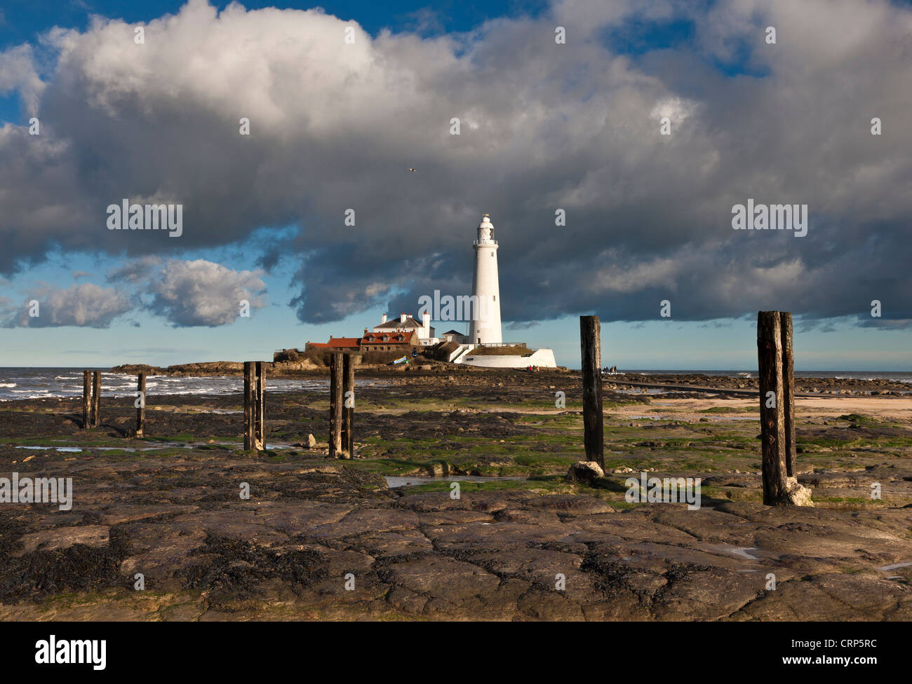 St. Mary's Faro sull isola di marea di St. Mary s. Il Lighthouse e aperto nel 1898 e fu in servizio fino al 1984. Foto Stock