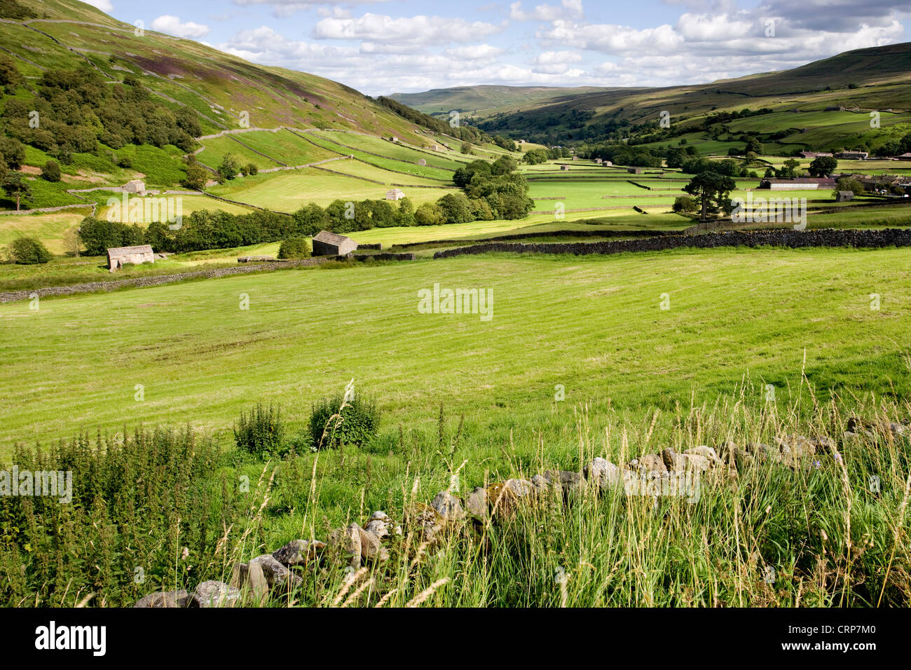 Fienili di campo vicino Kisdon hill, Swaledale, North Yorkshire Dales, Inghilterra Foto Stock