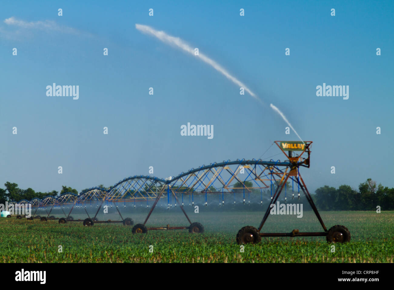 Perno centrale di irrigazione del campo Foto Stock