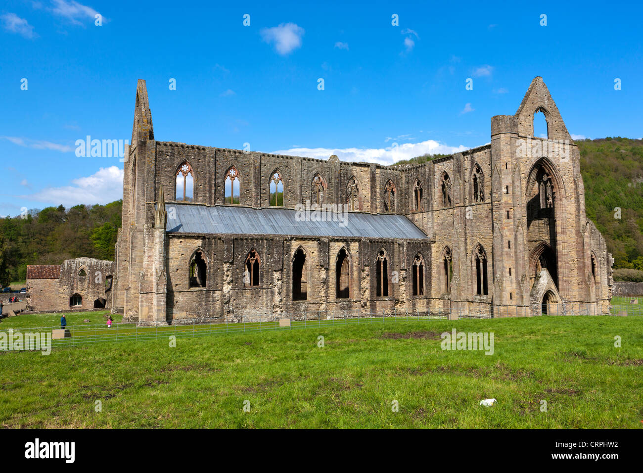 Le rovine di Tintern Abbey, un abbazia cistercense fondata nel XII secolo da Walter de Clare, signore di Chepstow. Foto Stock