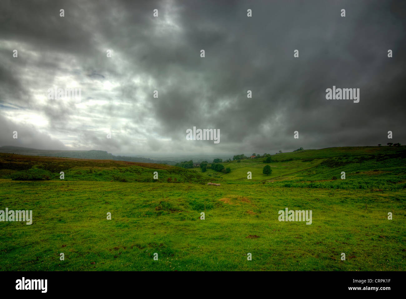 Yorkshire Moors Foto Stock