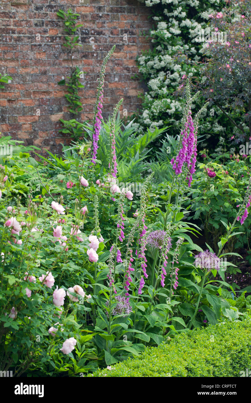 Piuttosto di frontiera di fiori in un giardino inglese Foto Stock