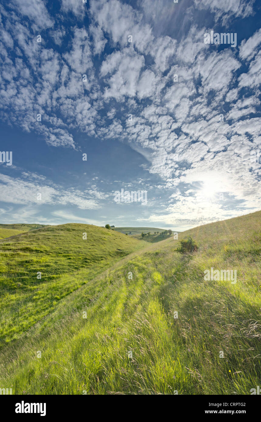 Chalk downland a Calstone Coombes, Wiltshire Foto Stock