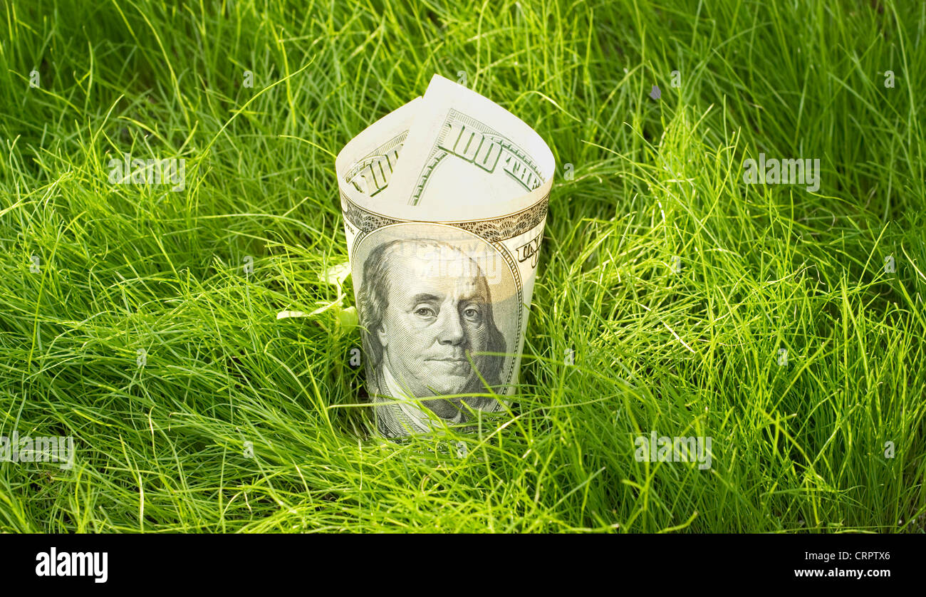 Un centinaio di dollari in crescita in erba verde Foto Stock