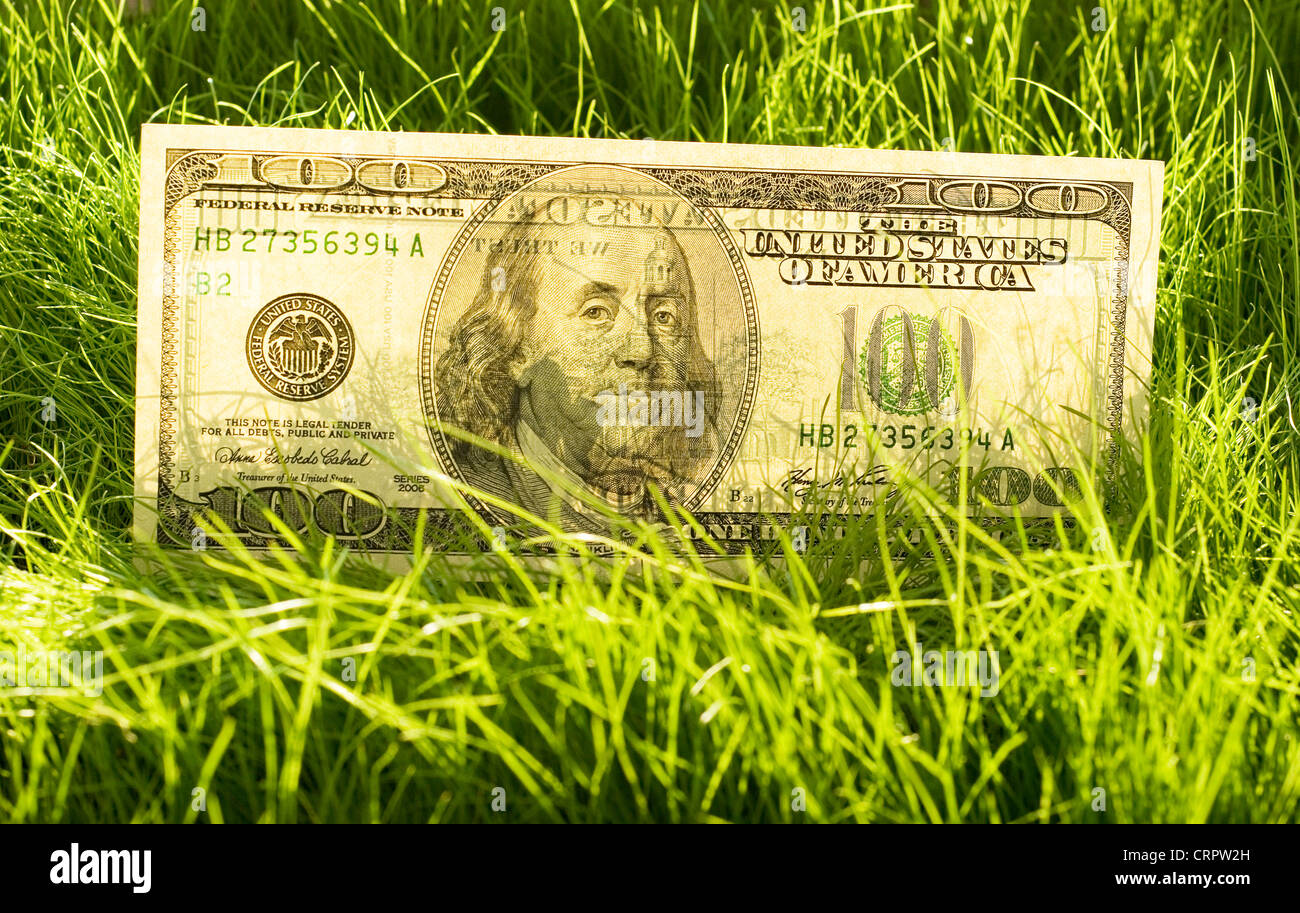 Un centinaio di dollari in erba Foto Stock