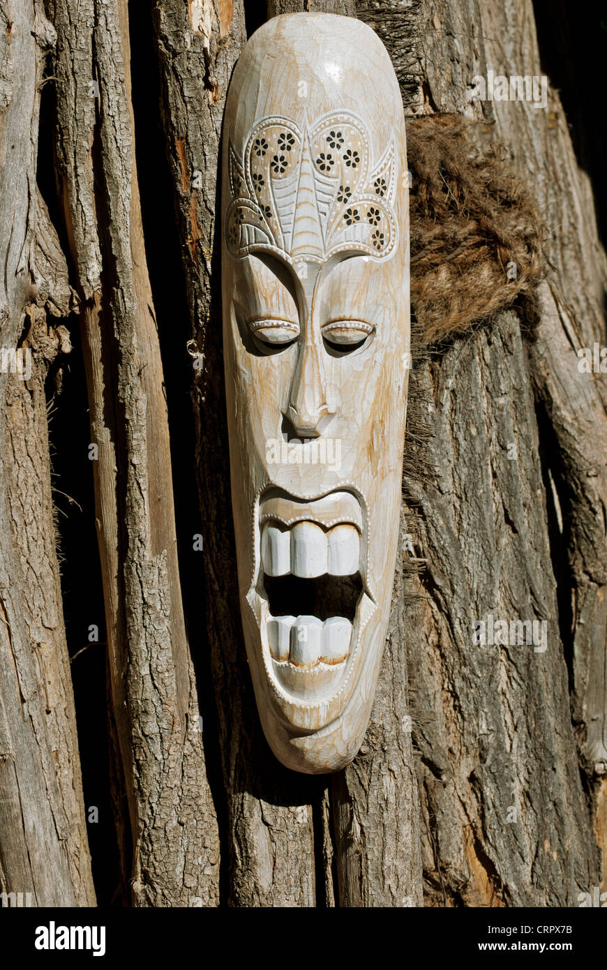 In legno africano maschera sullo sfondo del grande vecchio albero Foto Stock