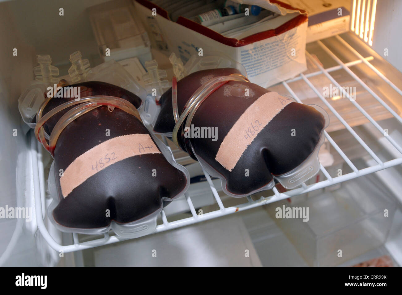 Sacche per sangue immagazzinato in un frigorifero in ospedale, prima di utilizzare surigcal. Foto Stock